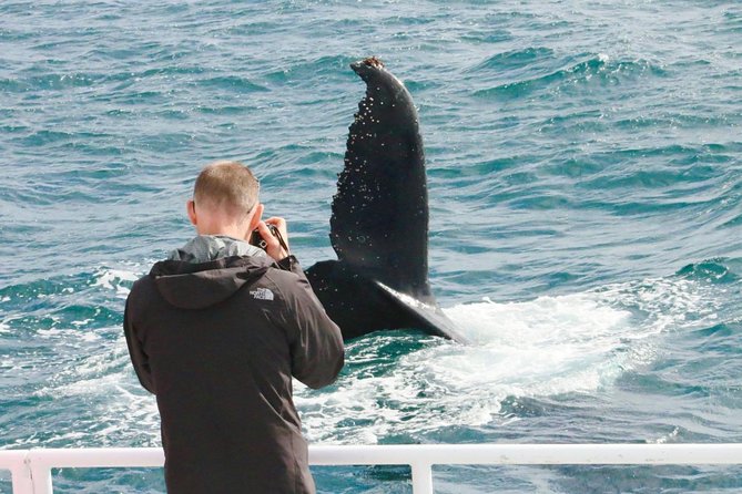 Dunsborough Whale Watching Eco Tour - Booking and Cancellation Policy