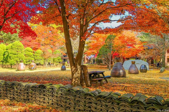 Easy Private Tour to Nami Island, Garden of Morning Calm - Nami Island and Garden Exploration