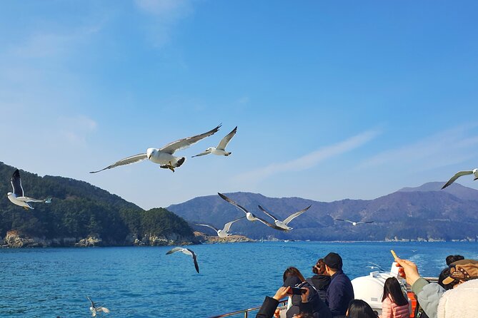 Enchanting Oedo Island Day Tour From Busan - Cancellation and Refund Policy