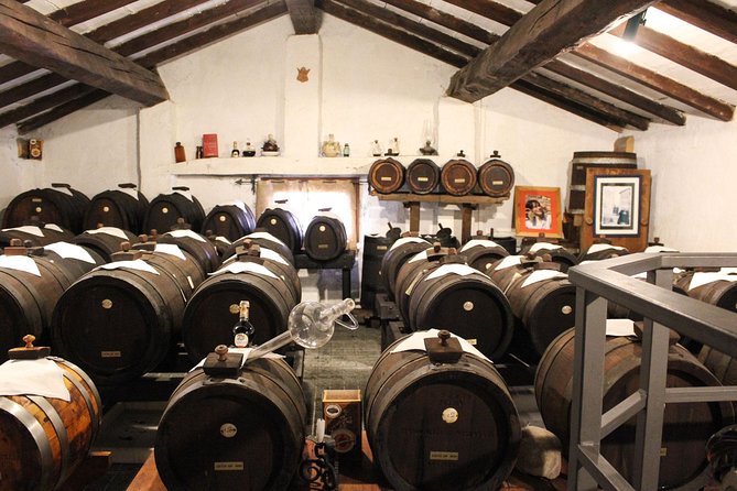 Enjoy a Private, Owner-Led Balsamic Vinegar Tour and Tasting in Vignola, Modena - Cancellation Policy