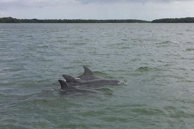 Everglades Airboat Nature Tour From Greater Fort Myers - Final Words