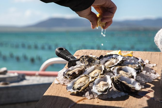 Experience Coffin Bay Oyster Farm and Bay Tour - Reviews and Ratings Overview