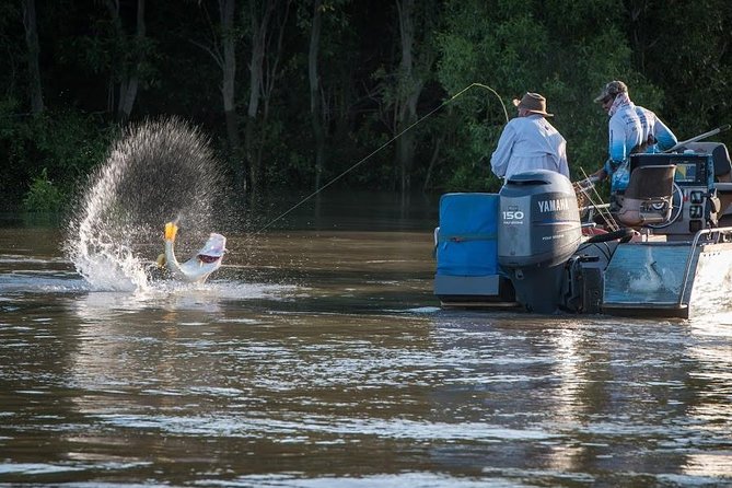 Freshwater or Saltwater Barramundi Fishing Day Trip From Darwin - Important Reminders and Notes