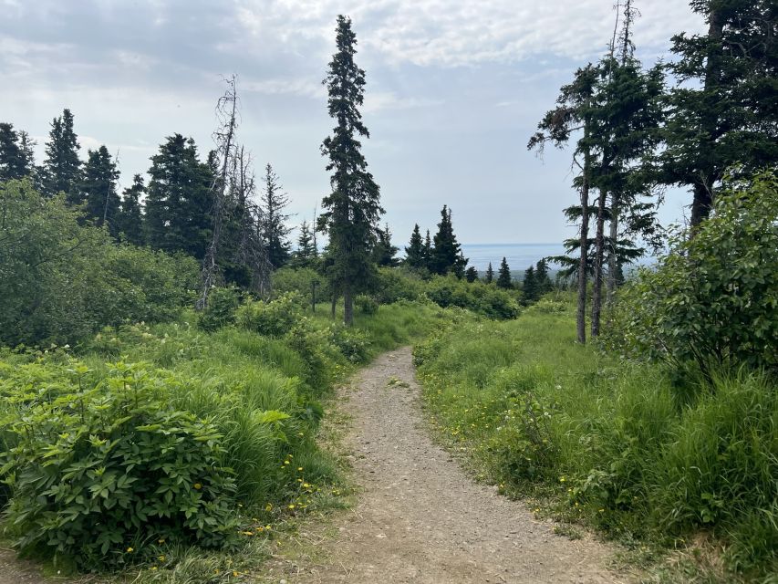 From Anchorage: Chugach State Park Walk With Naturalist - Common questions