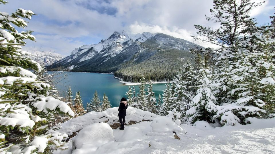 From Calgary: Banff National Park Day Trip - Departure Details