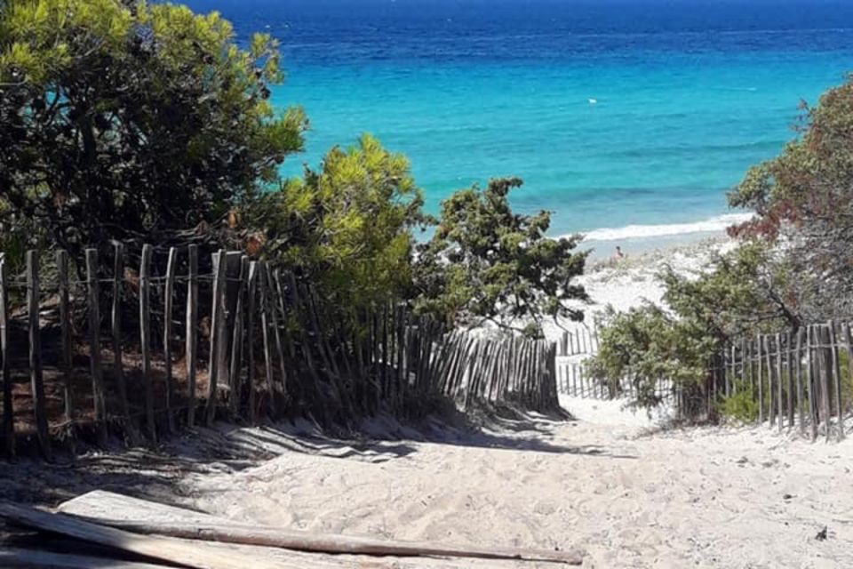 From Calvi: 4x4 Day Tour Mountain & Agriates Saleccia Beach - Booking Information and Cancellation Policy