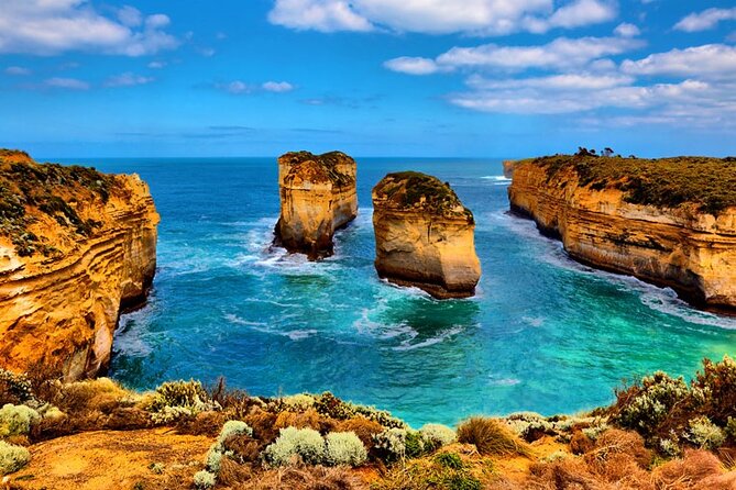 From Melbourne：Great Ocean Road 1-Day Tour in Chinese - What to Bring and Prepare