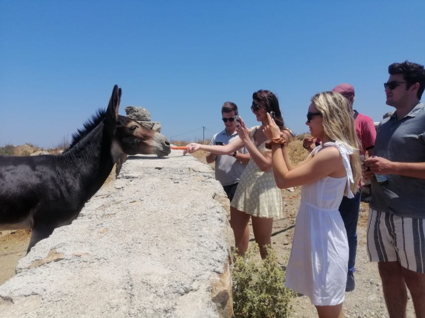 From Mikonos: Tastes and Traditions of Mykonos Guided Tour - Common questions