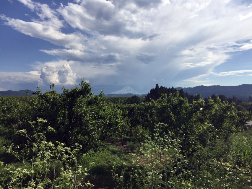 From Portland: Mt Hood, Hood River Valley and Columbia Gorge - Directions