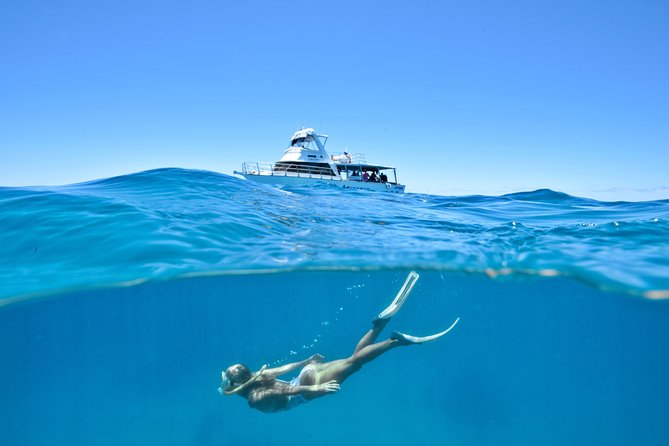 Great Barrier Reef Cruise From Townsville or Magnetic Island - Tour Reviews and Ratings