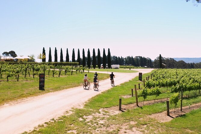 Hahndorf Food and Wine E-Bike Tour - Delicious Food and Drink Options