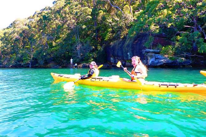 Half-Day Sydney Middle Harbour Guided Kayaking Eco Tour - Safety Guidelines and Precautions