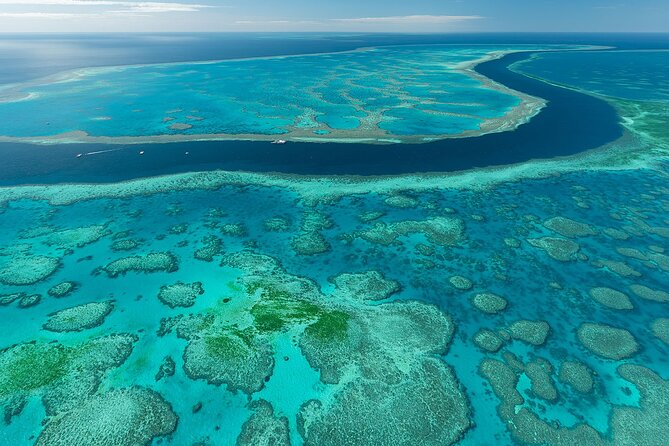 Heart Reef & Whitehaven Rest and Relax - 2.5Hr Helicopter Tour - In-Flight Experience and Services