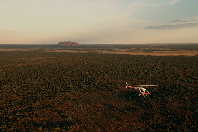 Helicopter Scenic: Lizard Safari - Booking and Confirmation Process