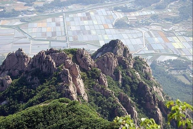 Hiking Mt. Wolchulsan National Park by KTX Train From Seoul - Important Safety Reminders