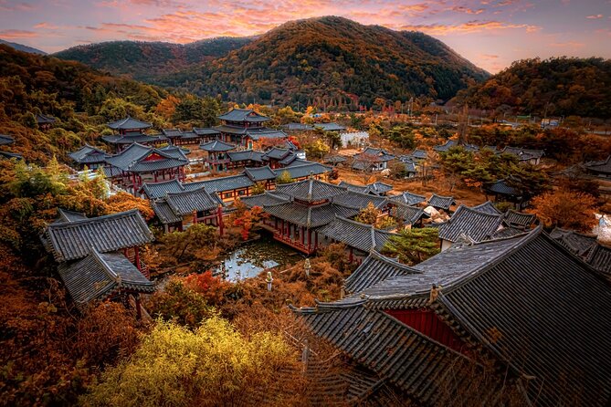 Historic and Natural Beauty- Gyeongju Autumn Foliage Day Tour - Important Reminders and Policies