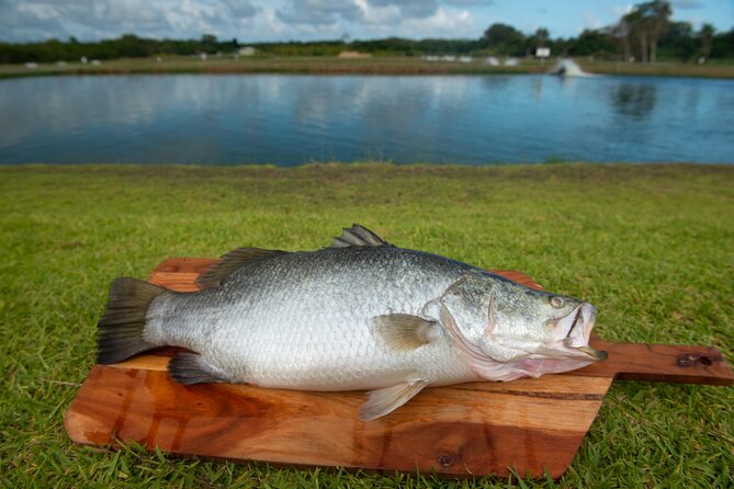 Hook-A-Barra Fishing and Farm Activity - What to Expect and Experience