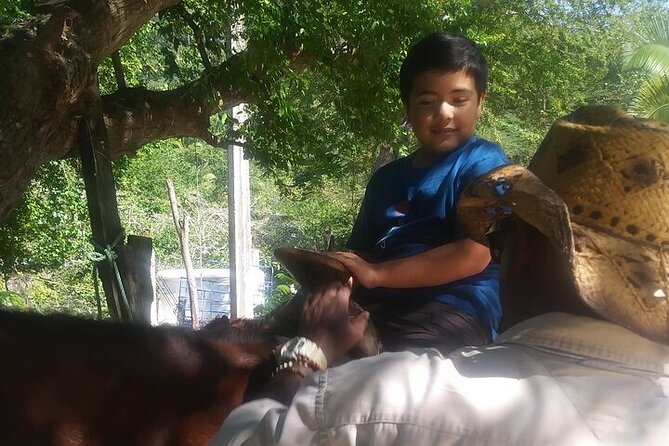 Jalisco Private Horseback Riding Tour  - Mismaloya - Final Words