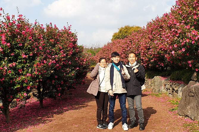 Jeju Private Day Tour - South of Jeju Island - Cancellation and Refund Policy