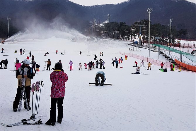 Jisan Ski Resort Serving Breakfast From Seoul (No Shopping) - Reviews and Ratings Overview