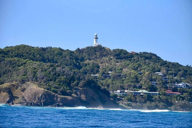 Julian Rocks Byron Bay: Coastal Discovery Cruise - Reviews and Testimonials