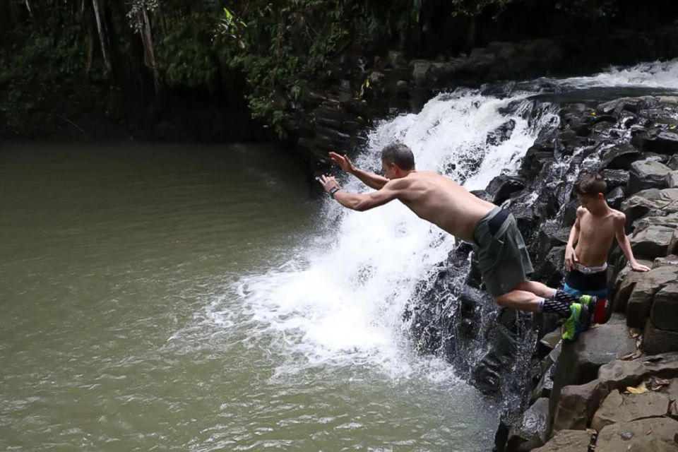 Kahului: Guided Rainforest and Waterfall Walk - Common questions