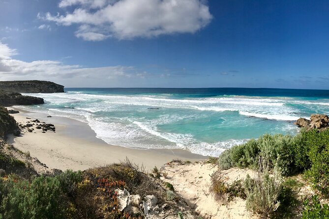 Kangaroo Island Shore Excursion Scenic Trail Tour - Things to Know Before Booking