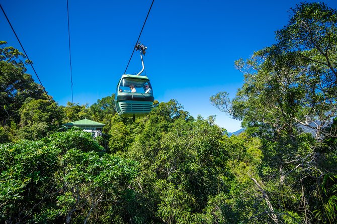 Kuranda Day Tour, TKS-RFS CLASSIC GOLD PLUS 0930 - Meeting the Locals and Wildlife