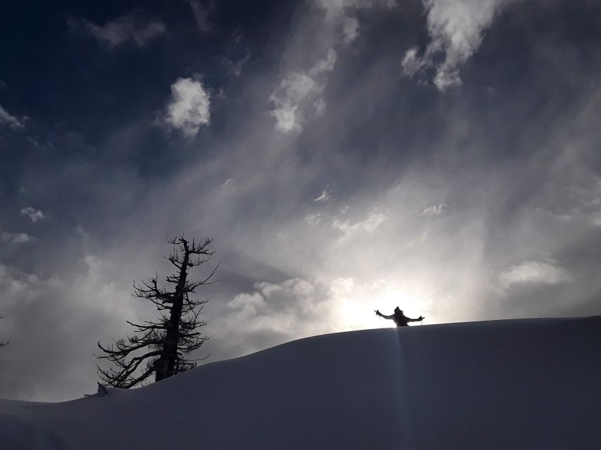 Lake Tahoe: Snowshoeing Guided Tour - Common questions