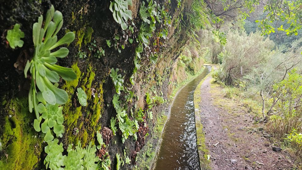 Levada Dos Tornos-Boaventura by Overland Madeira - Inclusions Provided