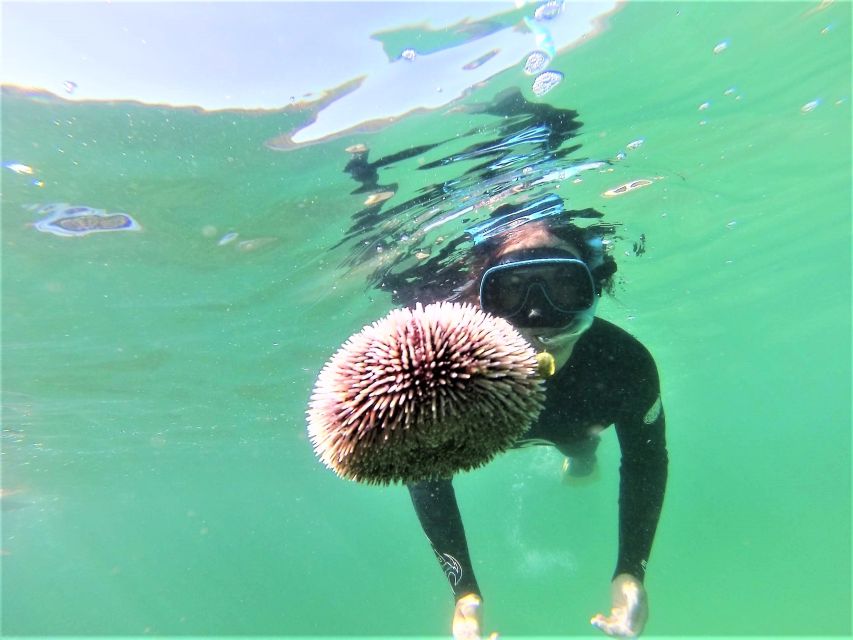 Lisbon: Snorkeling and Wine Tasting in Arrábida - Customer Reviews