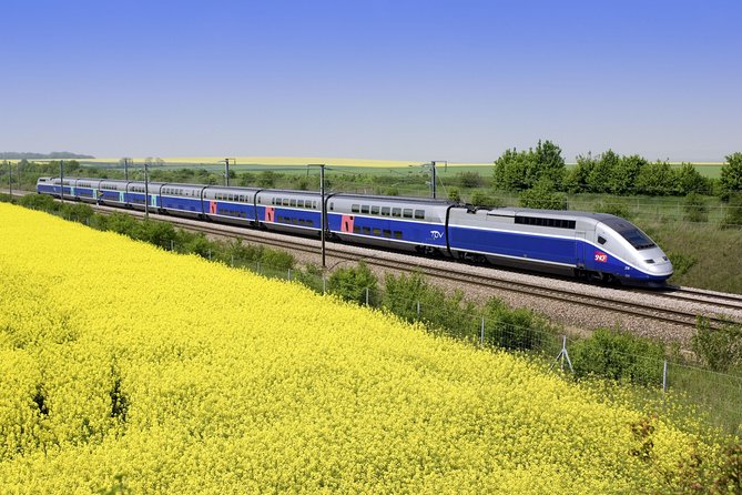 Loire Valley 2 Full Days Private Tour All Inclusive From Paris by TGV Train. - Customer Reviews