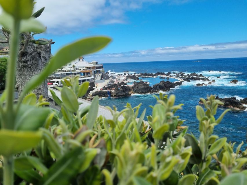 Madeira : SkyWalk, Fanal, Natural Pools 4x4 Jeep Tour - Booking Information