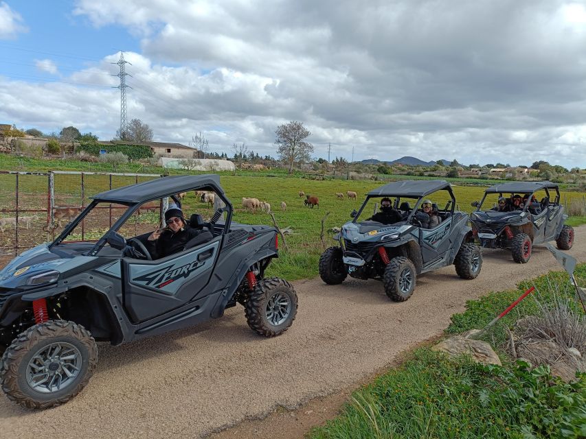 Mallorca: Buggy Adventure in the Mountains & Secret Coves - Final Words