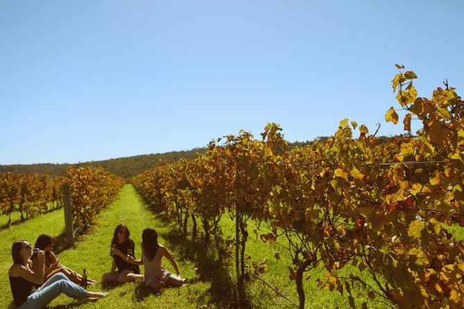 Margaret River Kayaking and Winery Tour - Booking and Cancellation Policy