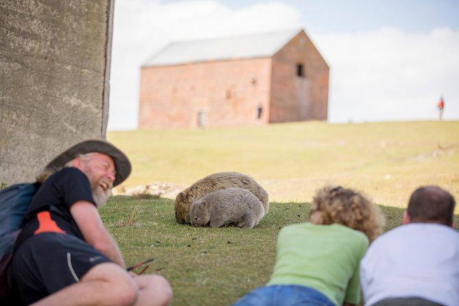 Maria Island Active Day Tour From Hobart - Wildlife and Scenic Spotting