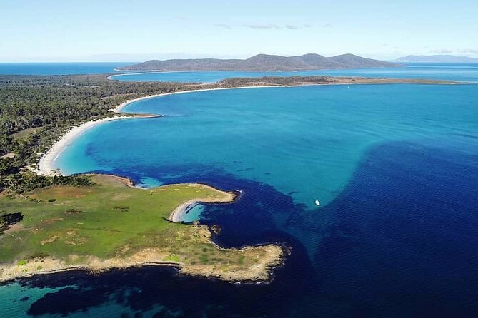 Maria Island Ferry Connection (Hobart to Triabunna Round Trip) - Exploring Maria Island National Park