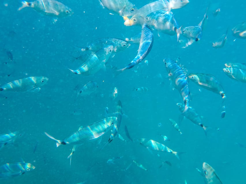 Medulin: Private Glass Bottom Boat Tour to Levan Island - Directions