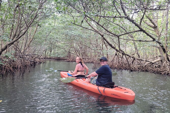 Miami: Kayak or SUP Island and Wildlife Tour - Final Words