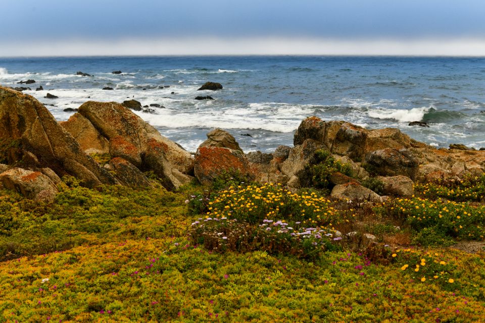 Monterey: 17-Mile Drive Self-Guided Audio Tour - Customer Reviews and Pricing