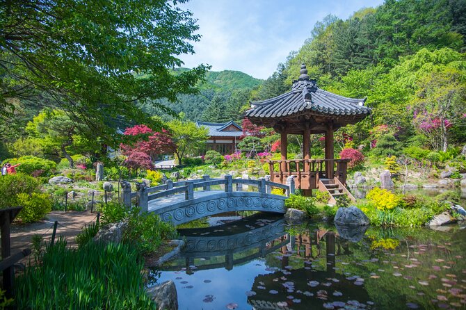 Nami Island & Happy Together's Chowon Garden & Panorama Field & Morning Calm Arboretum & Petite France - Tour Logistics and Operations