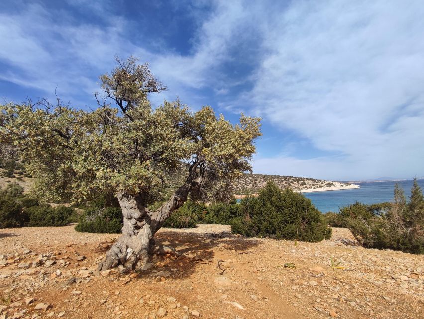 Naxos: Explore the Caves of the Unspoiled South-East Coast! - Duration and Highlights