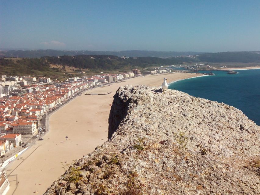 Nazaré Waves and Medieval Village of Obidos Private Tour - Inclusions