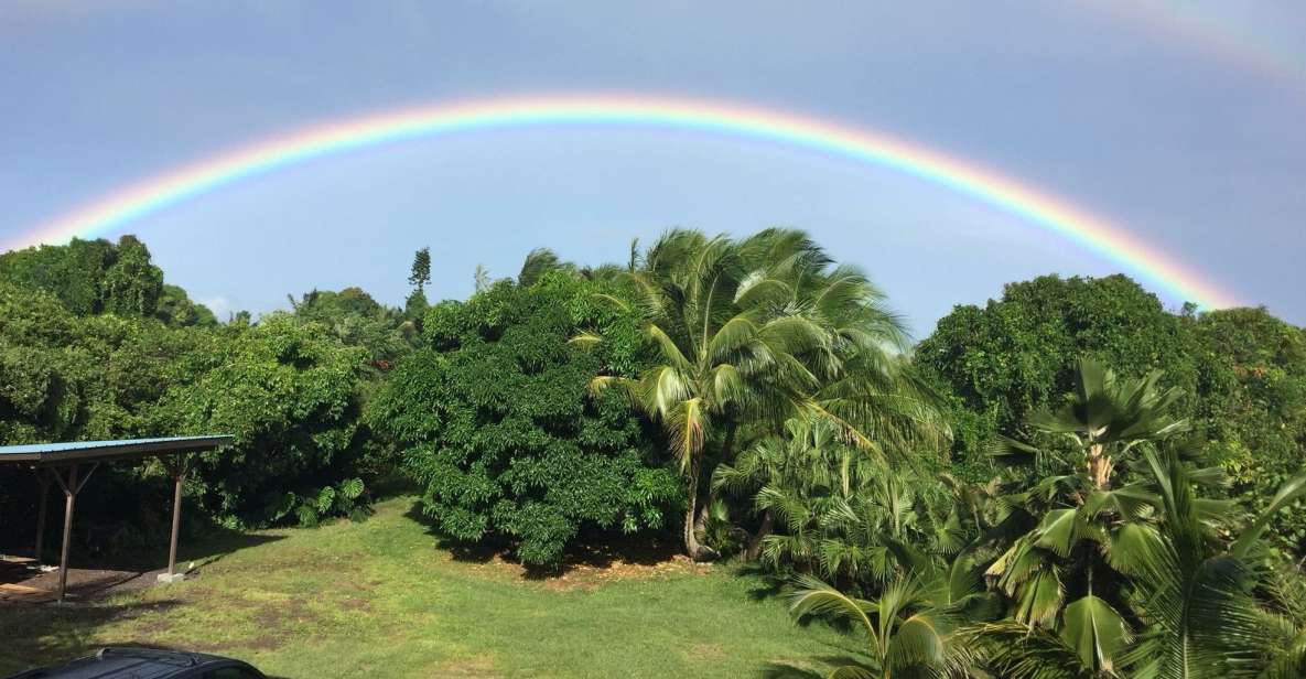 Oahu: Private Island Tour - Price and Availability