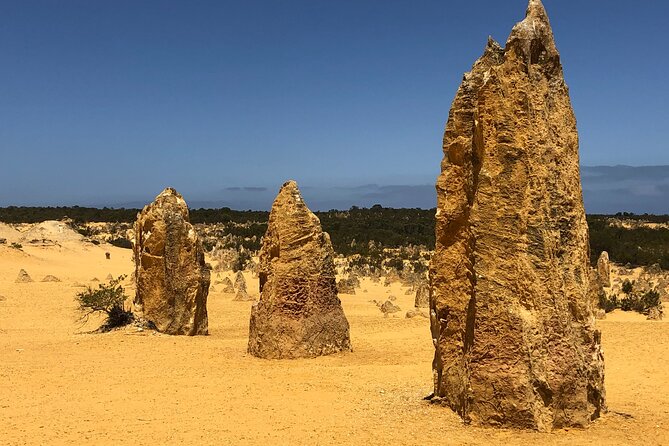 Pinnacles Day Tour - Tour Highlights and Features