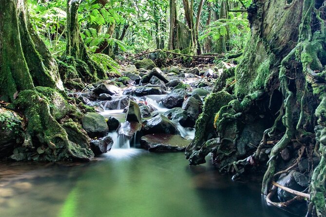 Private Half-Day Hike in the Opunohu Valley in Moorea - Common questions