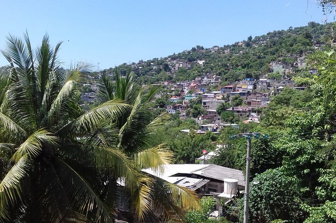 Private Ixtapa and Zihuatanejo City Tour - Personalized Itinerary and Local Cuisine