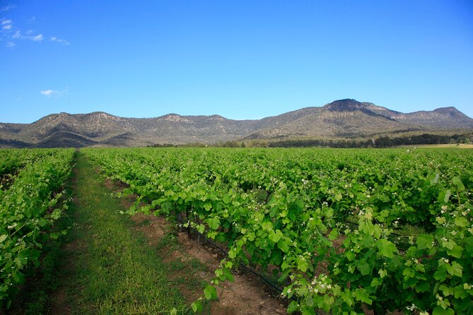 Private Luxury Tour: Tastes of the Hunter Valley - Behind the Scenes Access