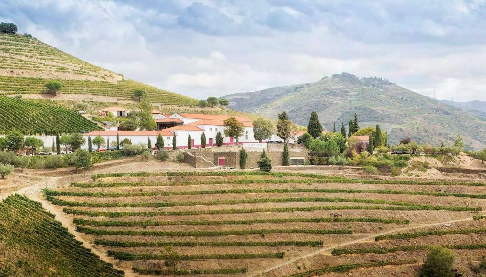 Private Luxury Wine & Food Tour in Douro - Common questions