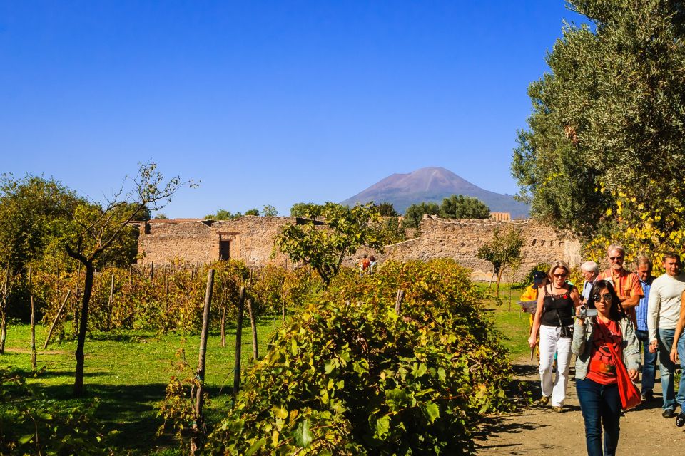 Private Pompeii & Vesuvius Wine Tasting Tour - Directions